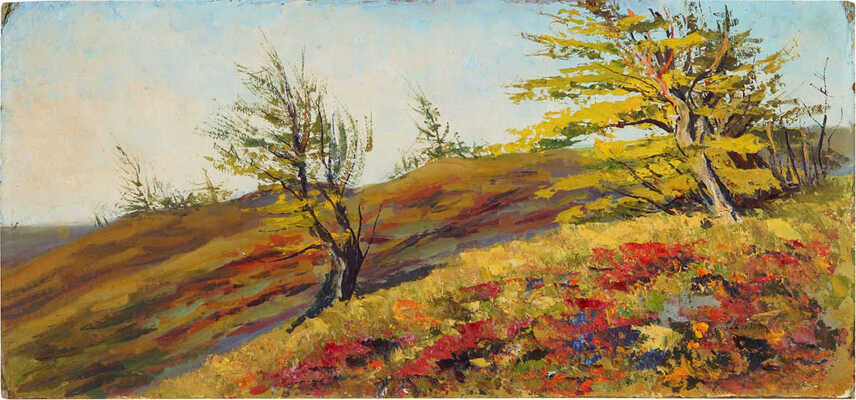 Лисенков Станислав Сергеевич. Таймыр 